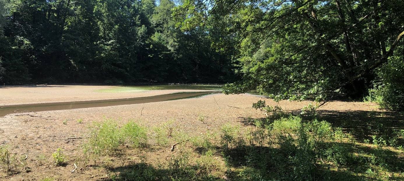 Entschlammung des Goldberger Teichs