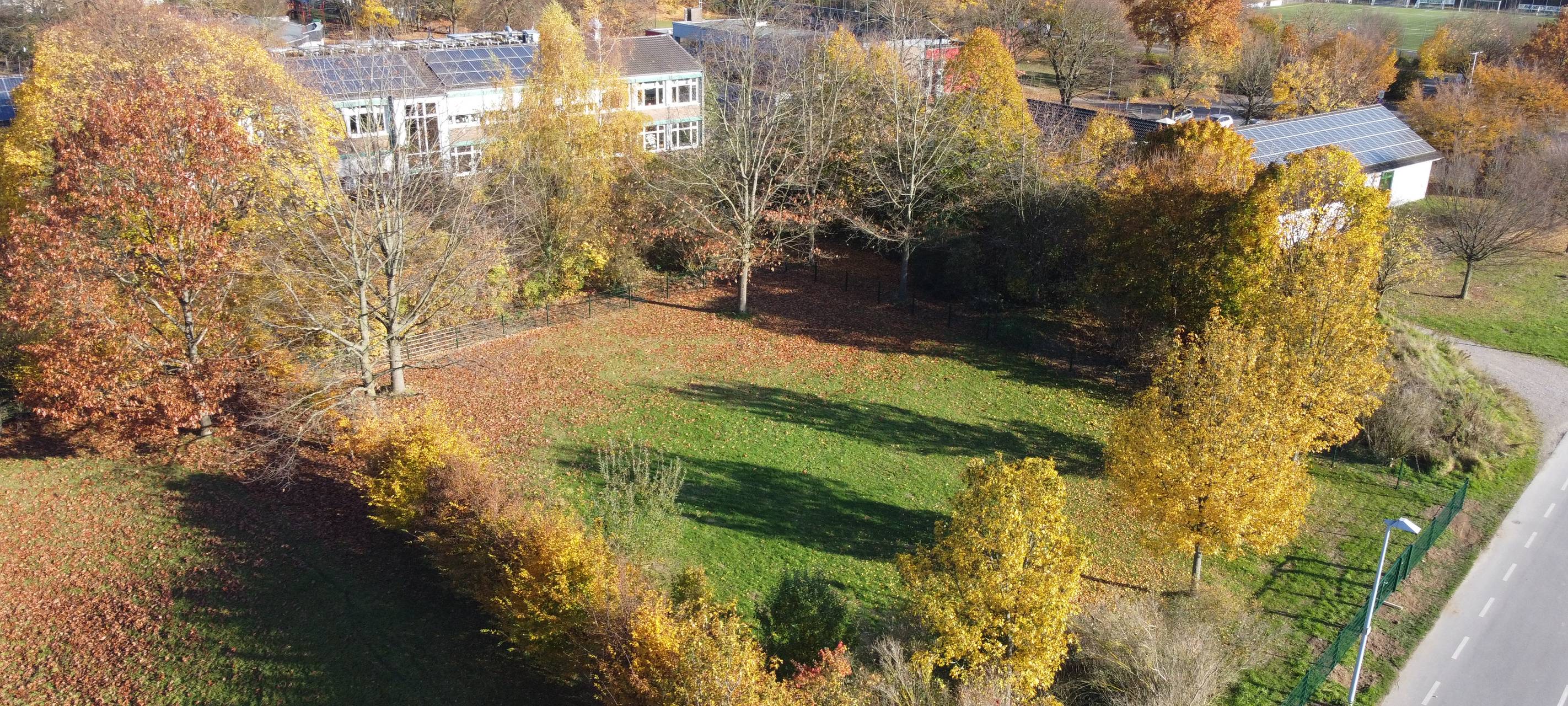 Neue Hundeauslauffläche in Reusrath