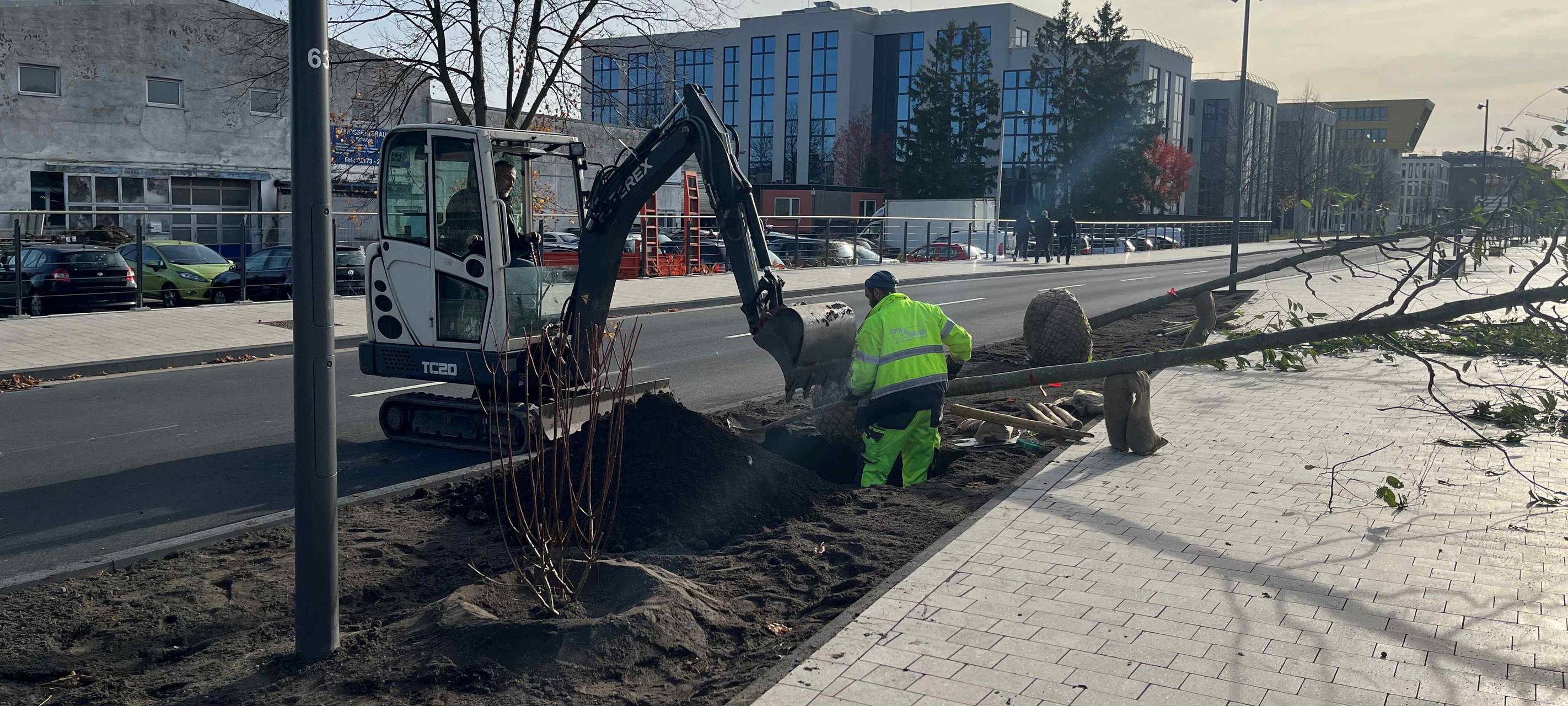 Monheim: fast 10.000 neue Pflanzen für die Rheinpromenade