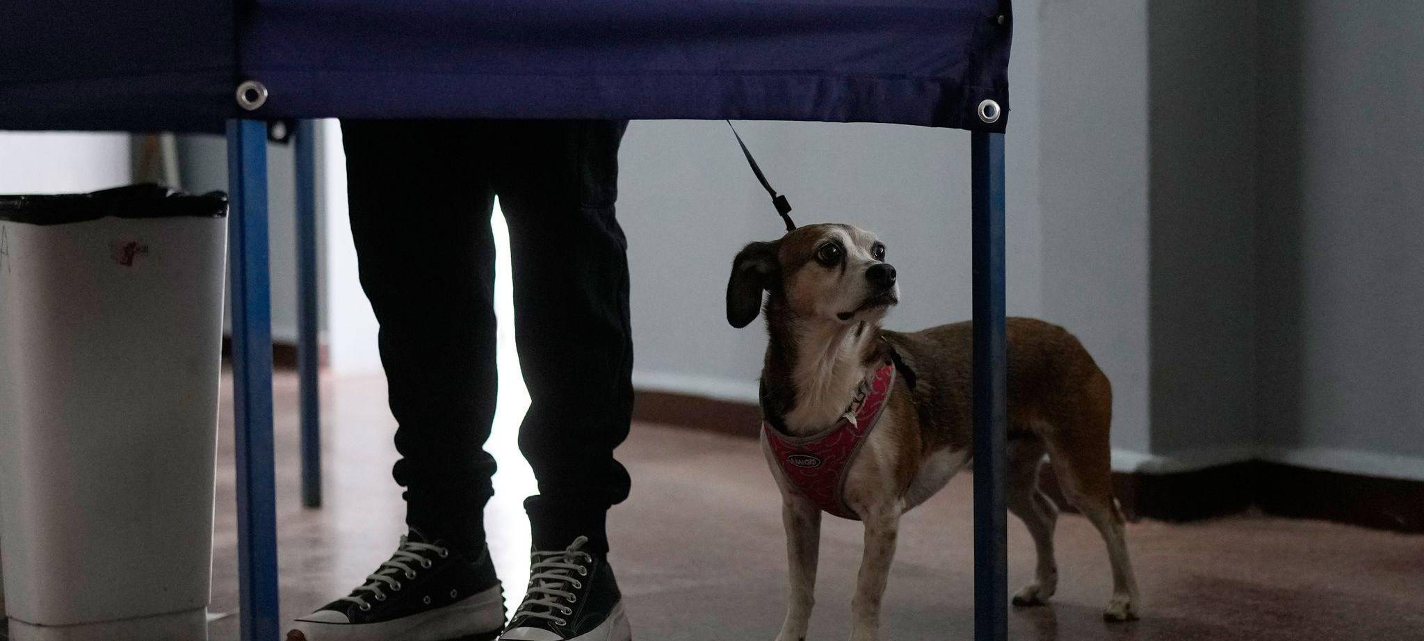 Präsidentenwahl in Chile