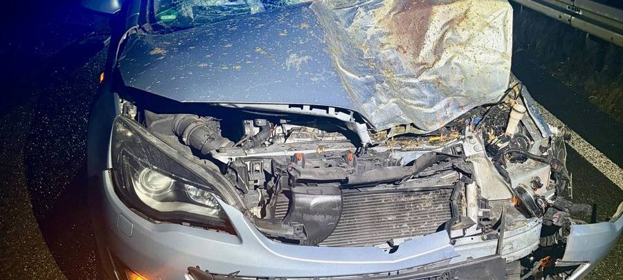 Ratingen: Autounfall mit Eseln