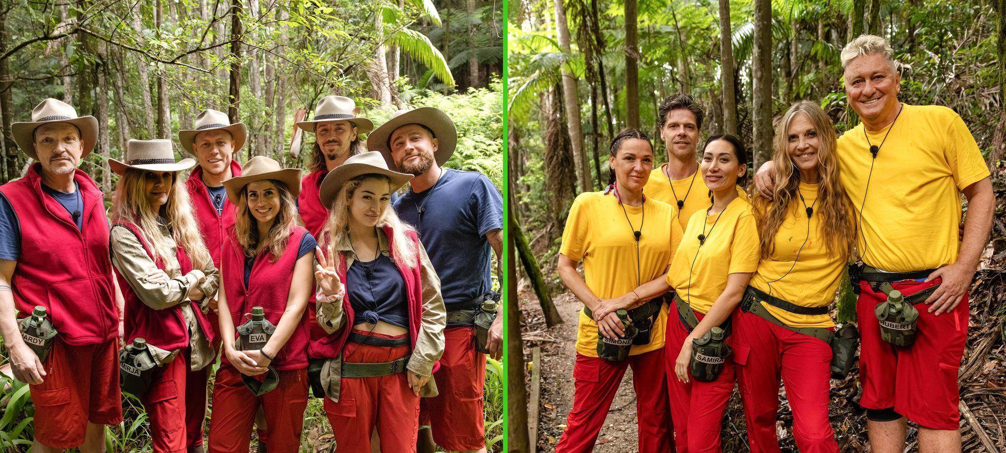 Ich bin ein Star - Holt mich hier raus! - Folge 1