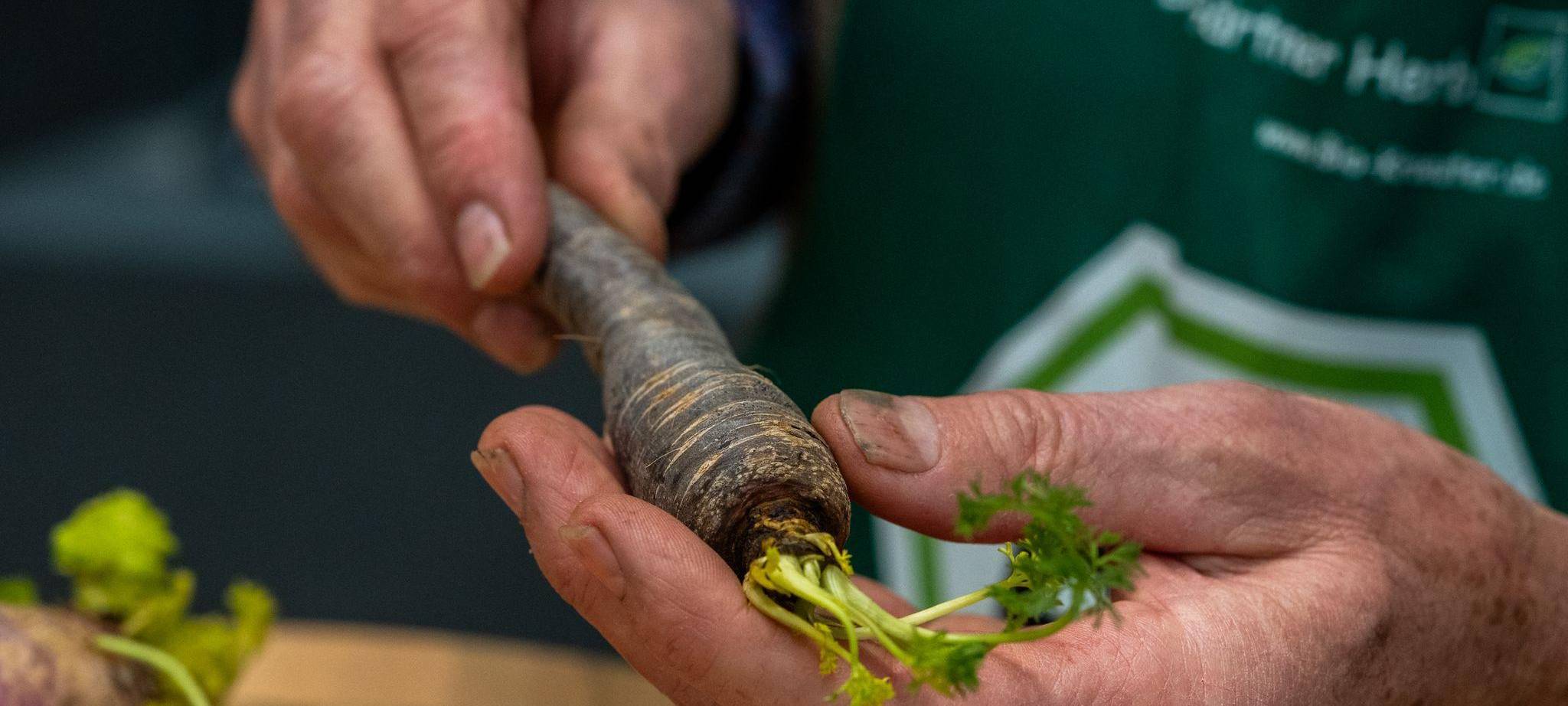 Christian Herb hält eine schwarze Karotte in den Händen