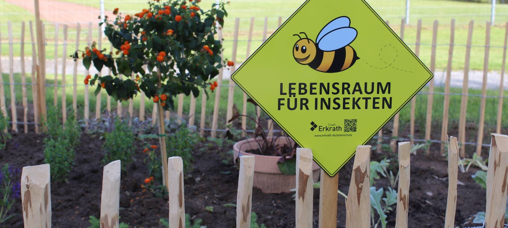 Erkrath: Stadt will Insekten besser schützen