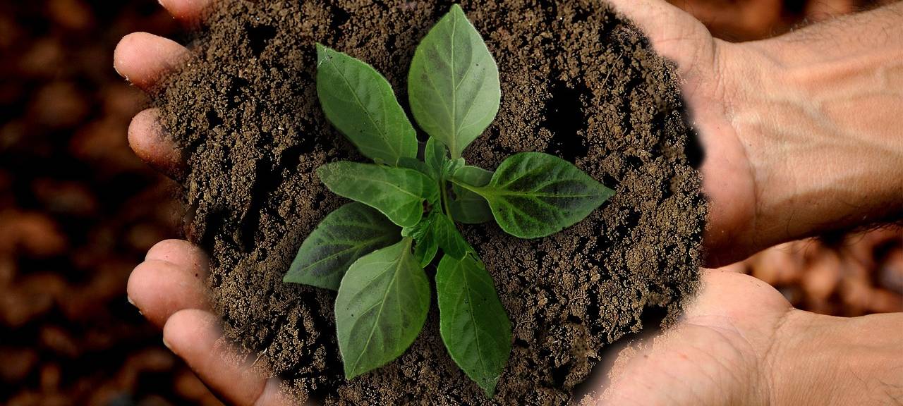 Ratingen will Klima stärker im Blick haben