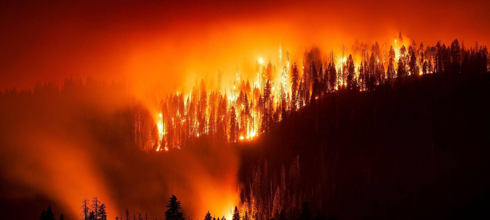 Waldbrand in Kalifornien