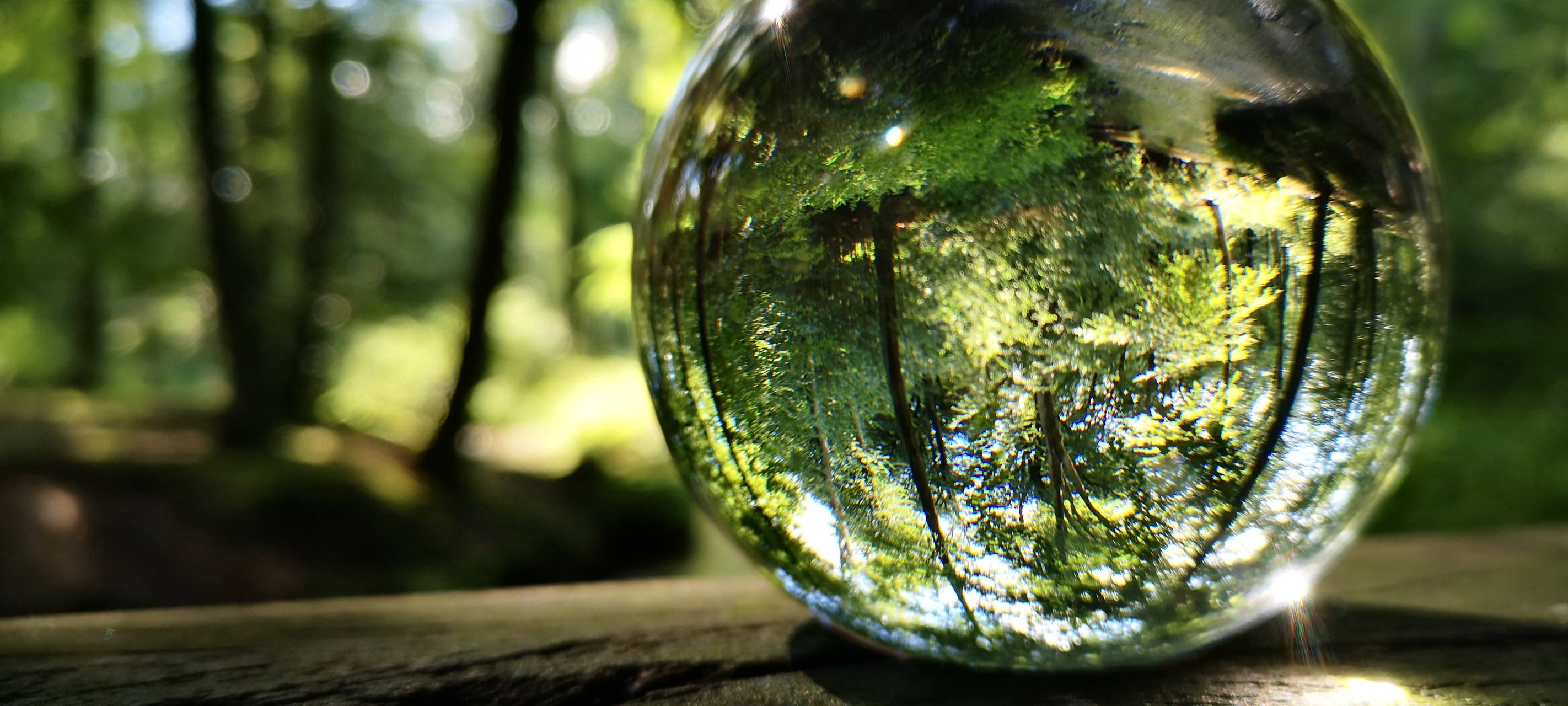 25.000 Euro für Naturschutzzentrum Bruchhausen