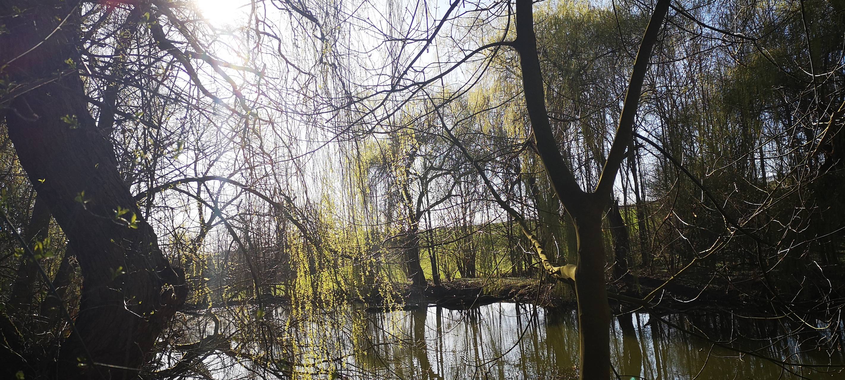 Fische aus Erkrather Stadtweiher wurden umgesetzt