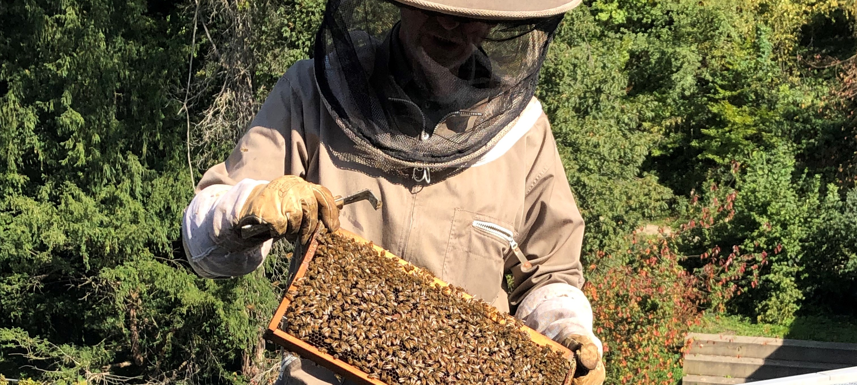 Honig-Manufaktur Neanderthal