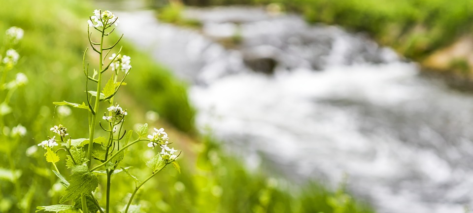 Hilden: Medikamente in der Itter