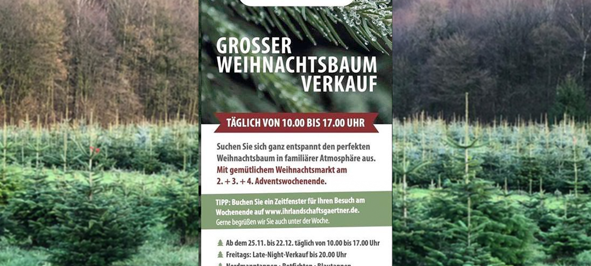 ab 25.11.2022 Weihnachtsbaumverkauf bei Sollazzo & Wetzel