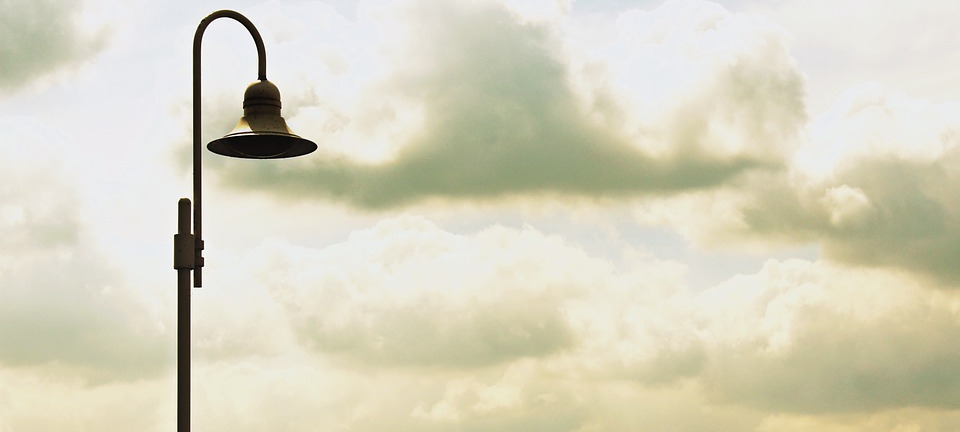 Partei in Velbert will Licht durch Bakterien erzeugen