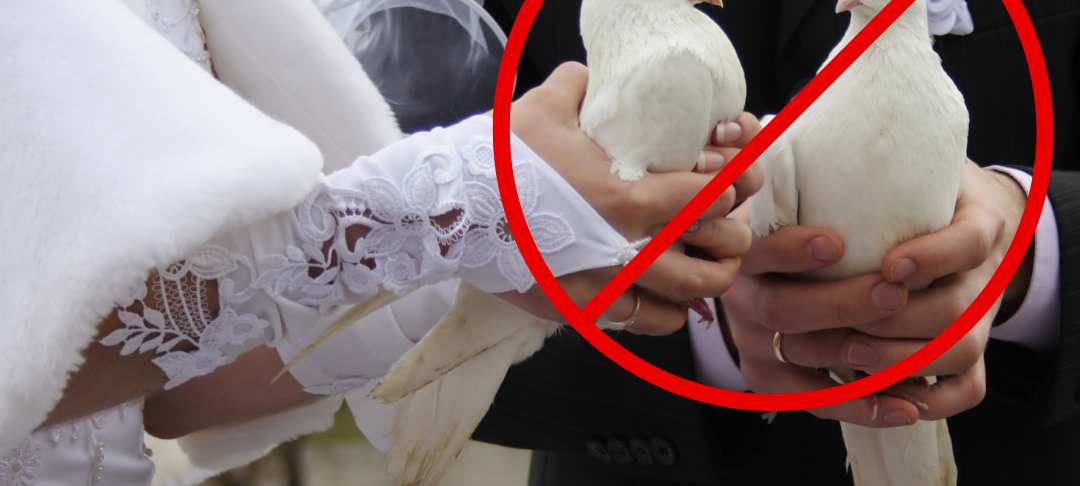 Hochzeitstaubenverbot in Ratingen?