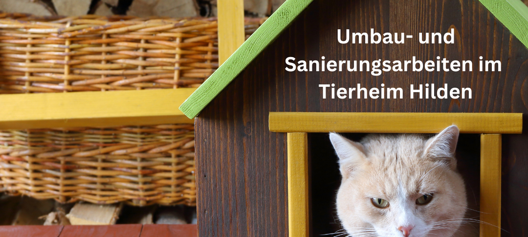 Arbeiten im Tierheim Hilden