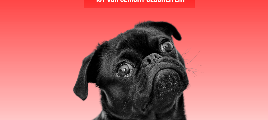 Mops-Dame Wilma: Revision abgelehnt