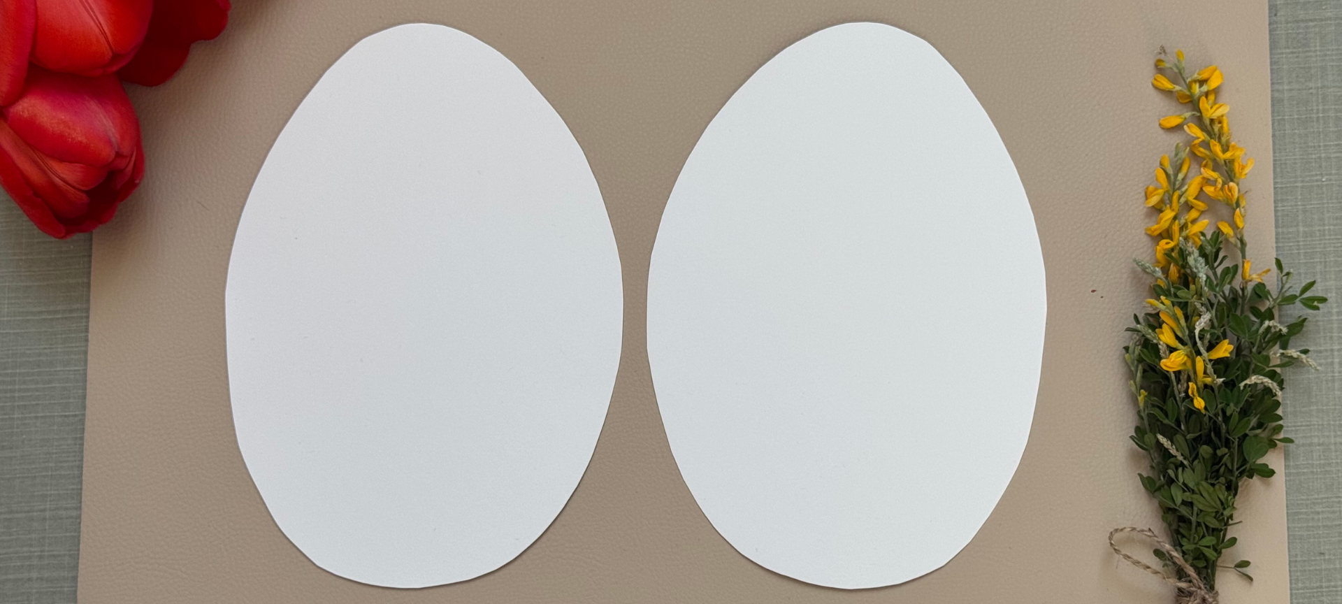 1. zwei Eier aus Farbkarton ausschneiden