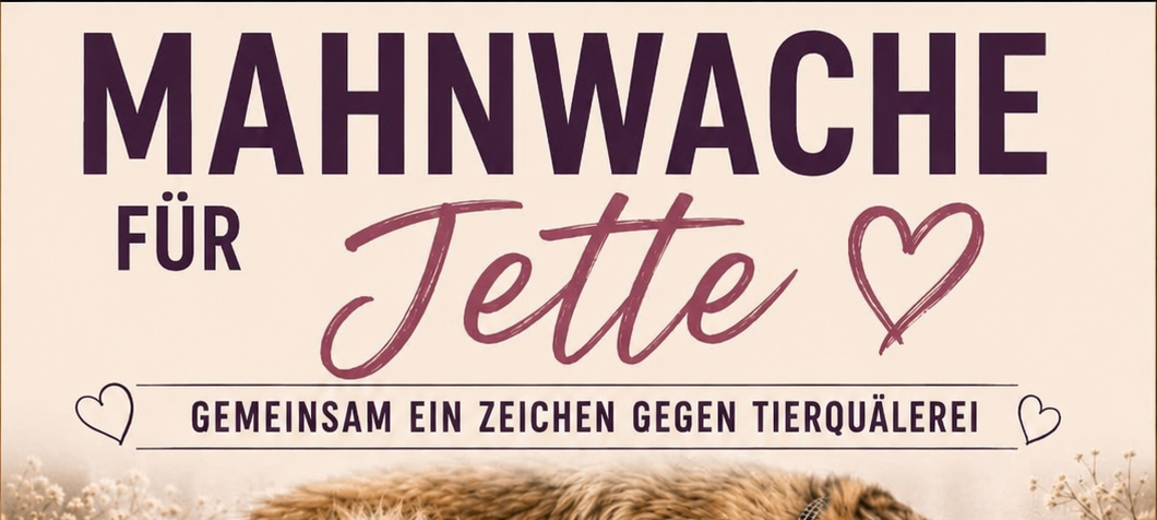 Mahnwache für getötete Hündin