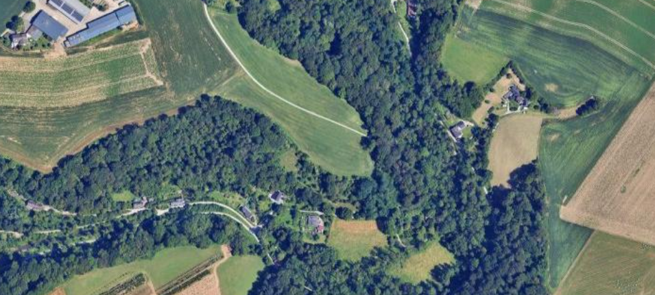 Kreis begutachtet kranke Bäume