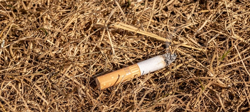 Hohe Waldbrandgefahr: Schon viele Einsätze für Feuerwehr