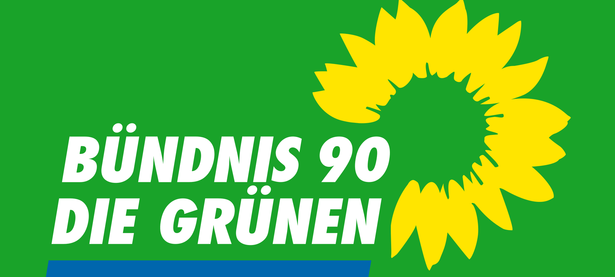 Rücktritt Bundesvorstand: Grüne im Kreis schauen nach vorn